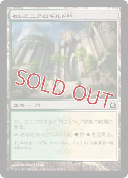画像1: セレズニアのギルド門 (1)
