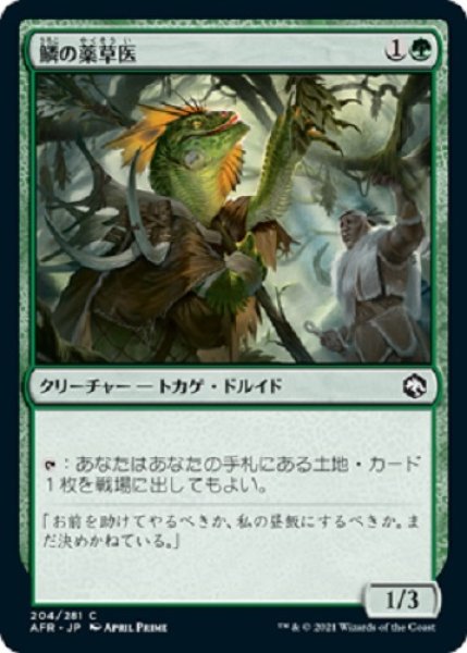 画像1: 『FOIL』鱗の薬草医 (1)