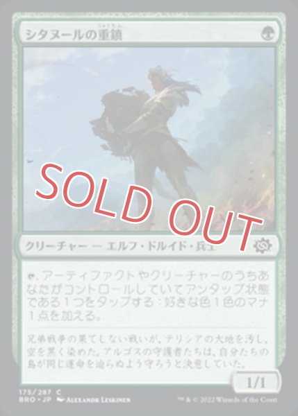 画像1: 『FOIL』シタヌールの重鎮 (1)