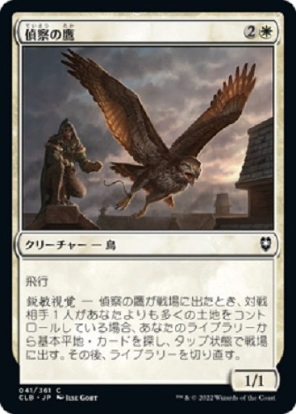画像1: 偵察の鷹 (1)