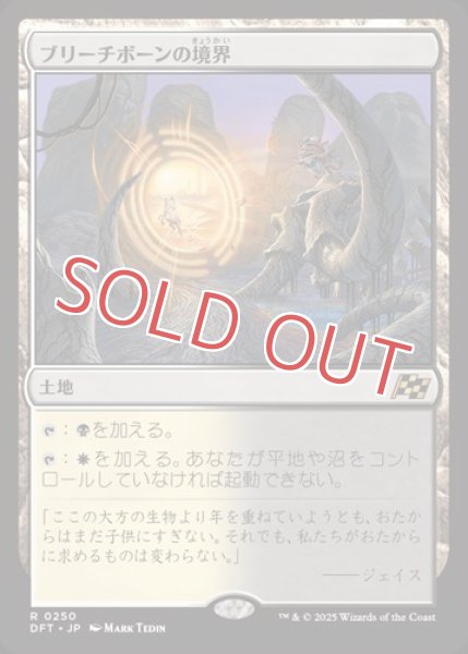 画像1: 『FOIL』ブリーチボーンの境界 (1)