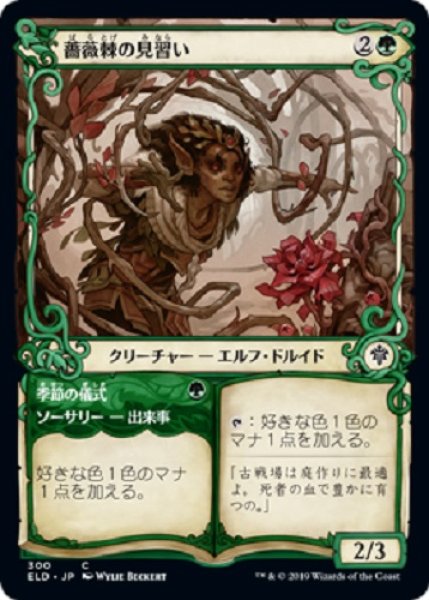 画像1: 『FOIL』薔薇棘の見習い【ショーケース】 (1)