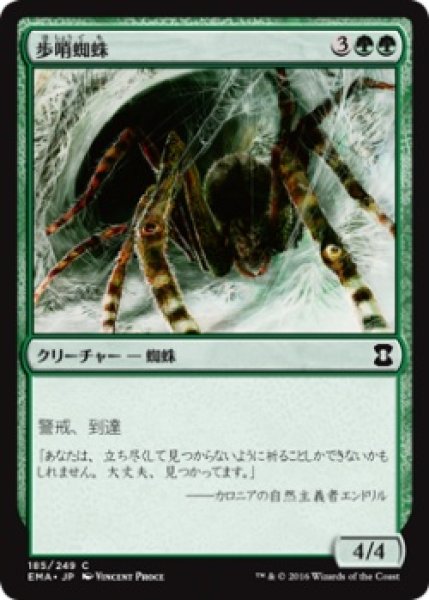 画像1: 歩哨蜘蛛 (1)