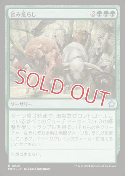 画像1: 踏み荒らし (1)