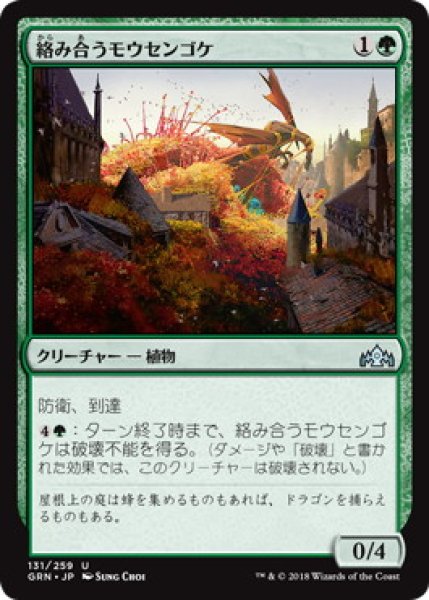 画像1: 『FOIL』絡み合うモウセンゴケ (1)