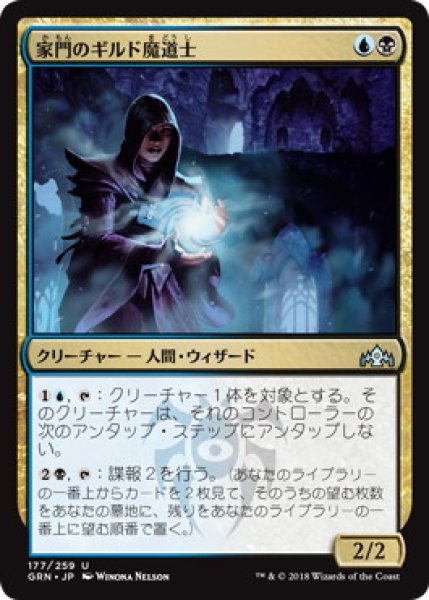 画像1: 『FOIL』家門のギルド魔道士 (1)