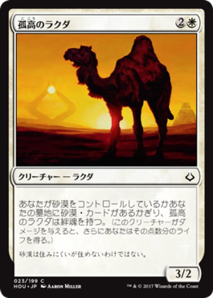 画像1: 孤高のラクダ (1)