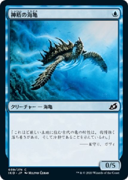 画像1: 神盾の海亀 (1)