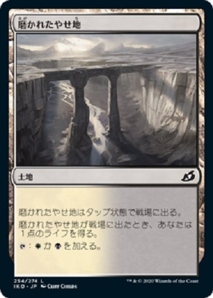 画像1: 『FOIL』磨かれたやせ地 (1)