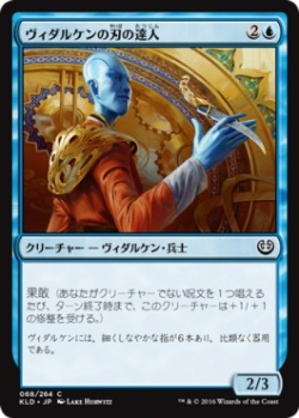 画像1: 『FOIL』ヴィダルケンの刃の達人 (1)