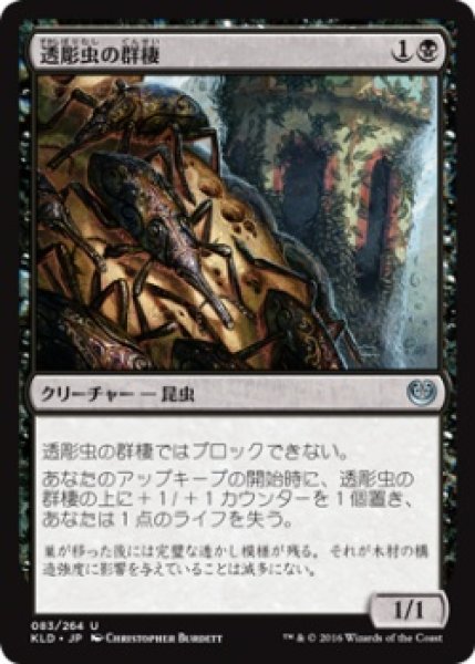 画像1: 『FOIL』透彫虫の群棲 (1)