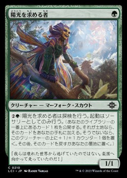 画像1: 『FOIL』陽光を求める者 (1)