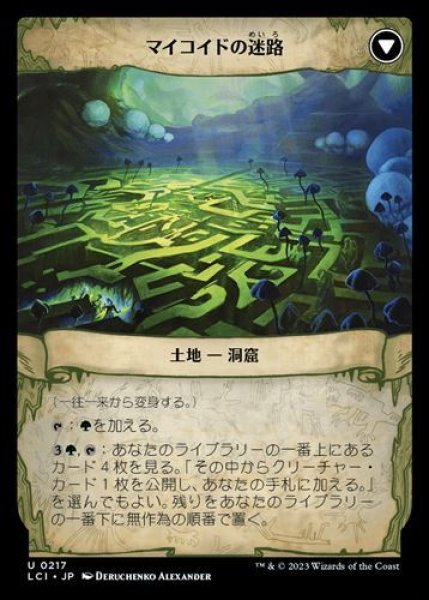 画像2: 一往一来 (2)