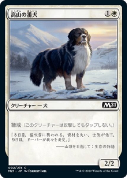 画像1: 高山の番犬 (1)