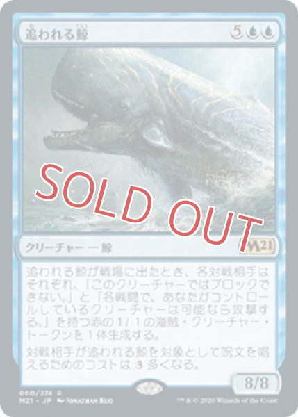 画像1: 『FOIL』追われる鯨 (1)