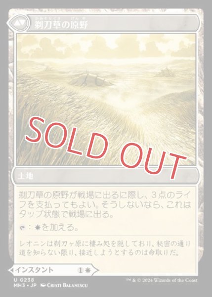 画像2: 『FOIL』剃刀草の待ち伏せ (2)