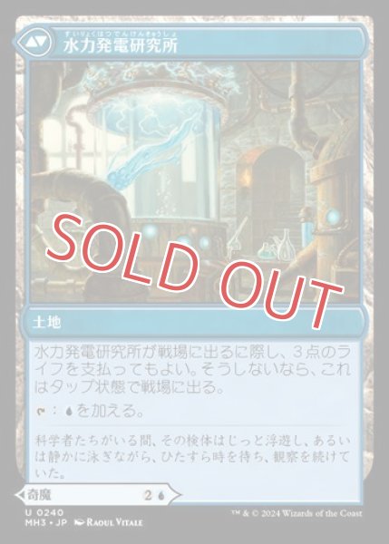 画像2: 『FOIL』水力発電の検体 (2)