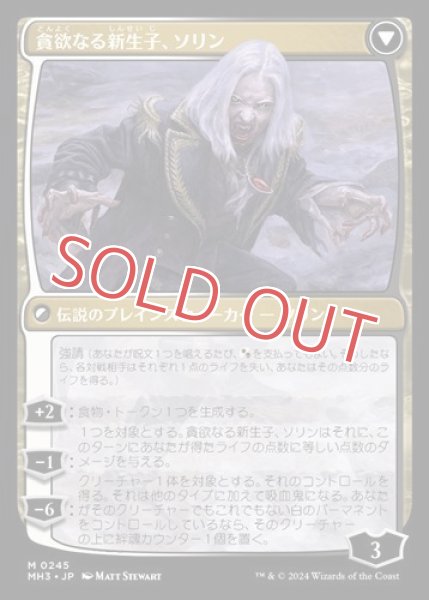 画像2: 『FOIL』マルコフ家のソリン (2)