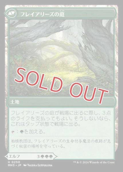 画像2: フレイアリーズの信奉者 (2)