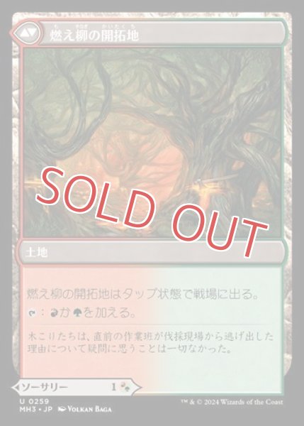 画像2: 『FOIL』根絶やし根 (2)