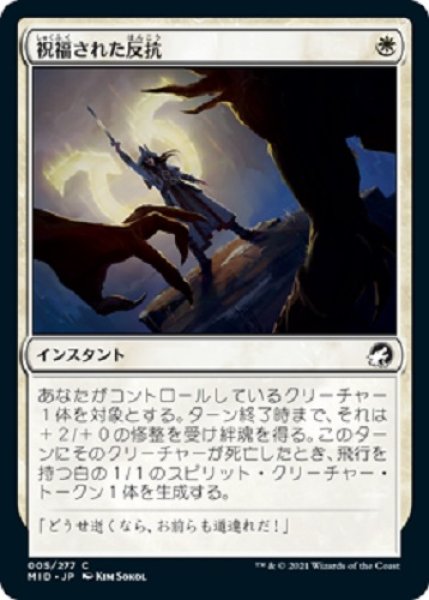 画像1: 『FOIL』祝福された反抗 (1)