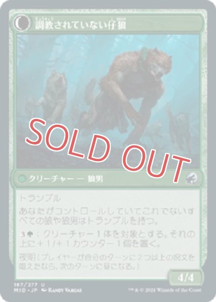 画像2: 猟犬調教師 (2)