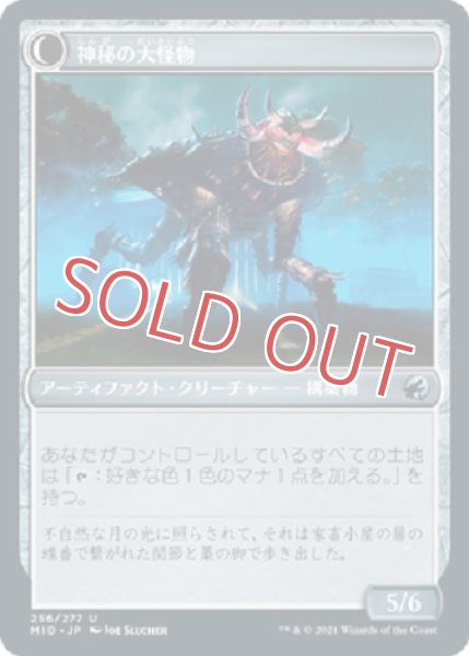 画像2: 『FOIL』神秘の頭蓋骨 (2)