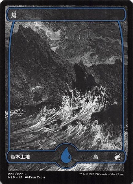 画像1: 『FOIL』島 (1)