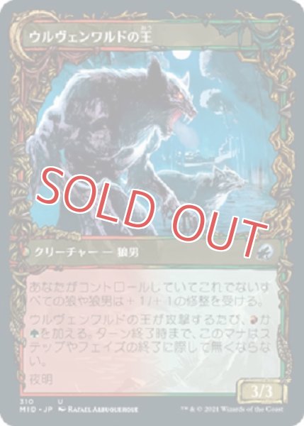 画像2: 『FOIL』ケッシグの自然主義者【ショーケース】 (2)