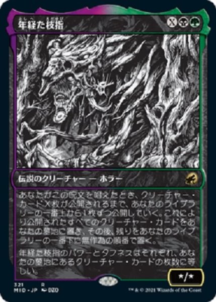 画像1: 『FOIL』年経た枝指【ショーケース】 (1)