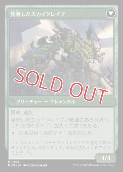 画像2: ゼンディガーへの侵攻 (2)