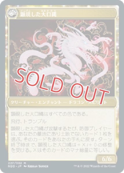 画像2: 『FOIL』神の乱 (2)