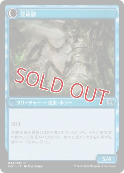 画像2: 『FOIL』逸脱した研究者/完成態 (2)