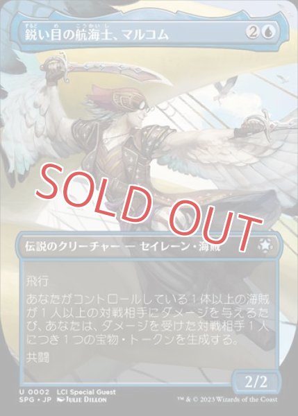 画像1: 鋭い目の航海士、マルコム (1)