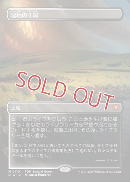 画像1: 湿地の干潟 (1)