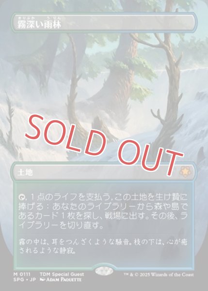 画像1: 霧深い雨林 (1)