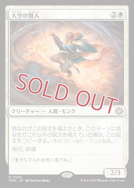 画像1: 大空の賢人 (1)