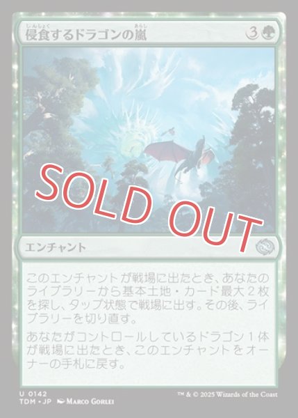 画像1: 侵食するドラゴンの嵐 (1)