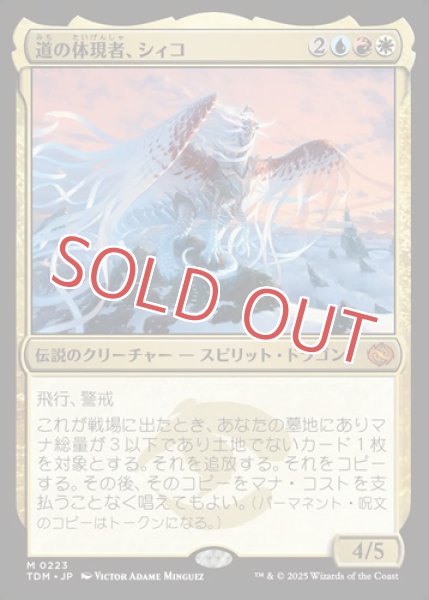 画像1: 『FOIL』道の体現者、シィコ (1)
