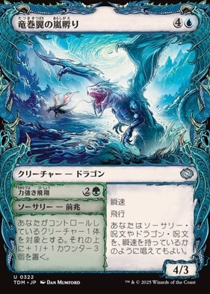画像1: 竜巻翼の嵐孵り【ショーケース】 (1)