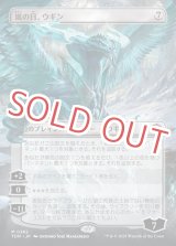 嵐の目、ウギン【ボーダーレス】 - ゲームプラザ元気302