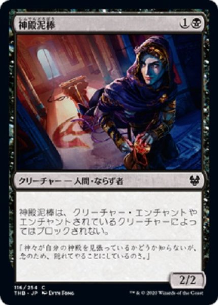 画像1: 『FOIL』神殿泥棒 (1)