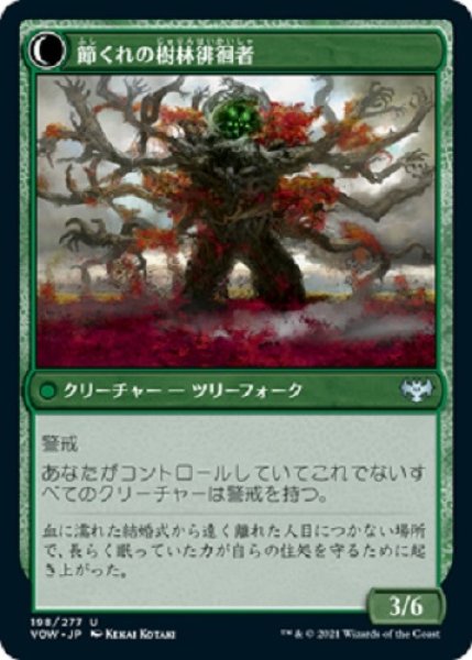 画像2: 休樹林帯 (2)