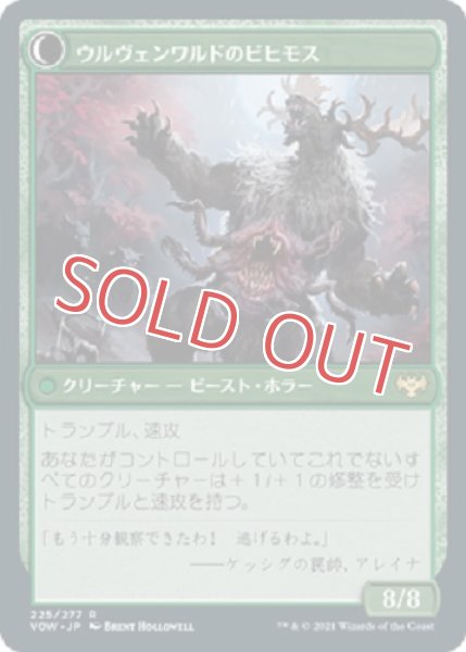 画像2: ウルヴェンワルドの奇異 (2)