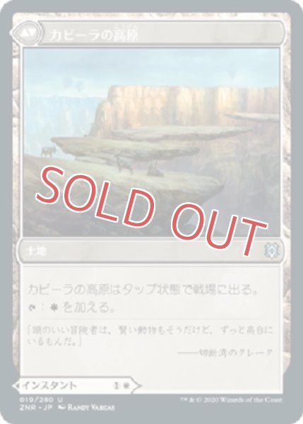 画像2: 『FOIL』カビーラの叩き伏せ (2)