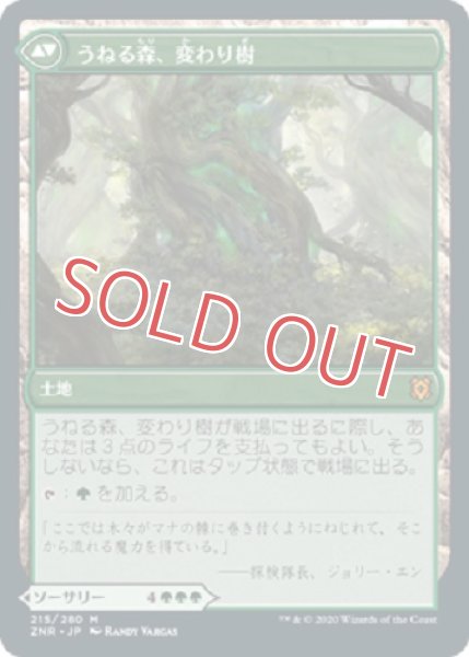 画像2: 『FOIL』変わり樹の共生 (2)