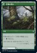 画像2: 『FOIL』巨森の補強 (2)