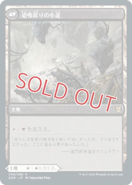 画像2: 『FOIL』陽光昇りの小道 (2)